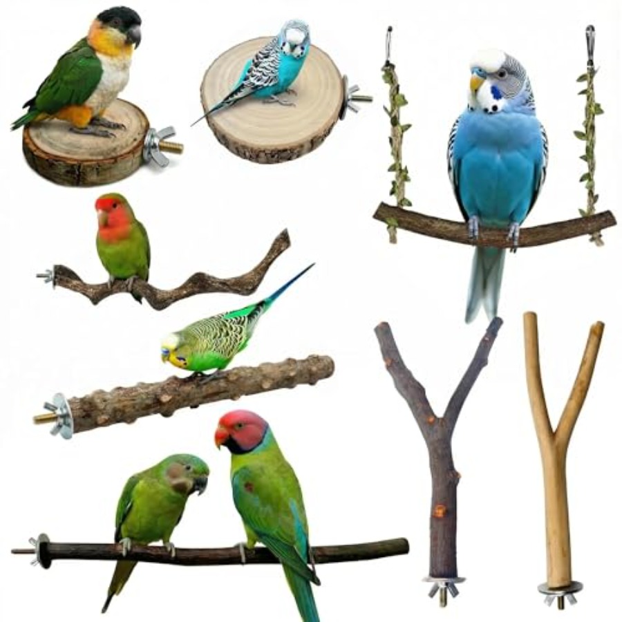 Health & Wellness Festival - 8PCS natural wood bird perches for
