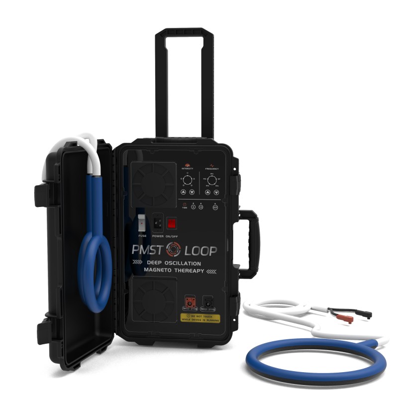 PMST LOOP PEMF Therapy Horse E - Therapy Health And Wellness ulasan dan harga