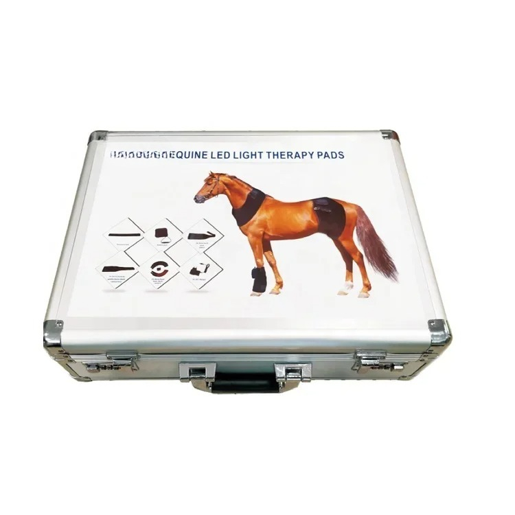 LED Lamp Therapy Machine for H - Therapy Health And Wellness ulasan dan harga