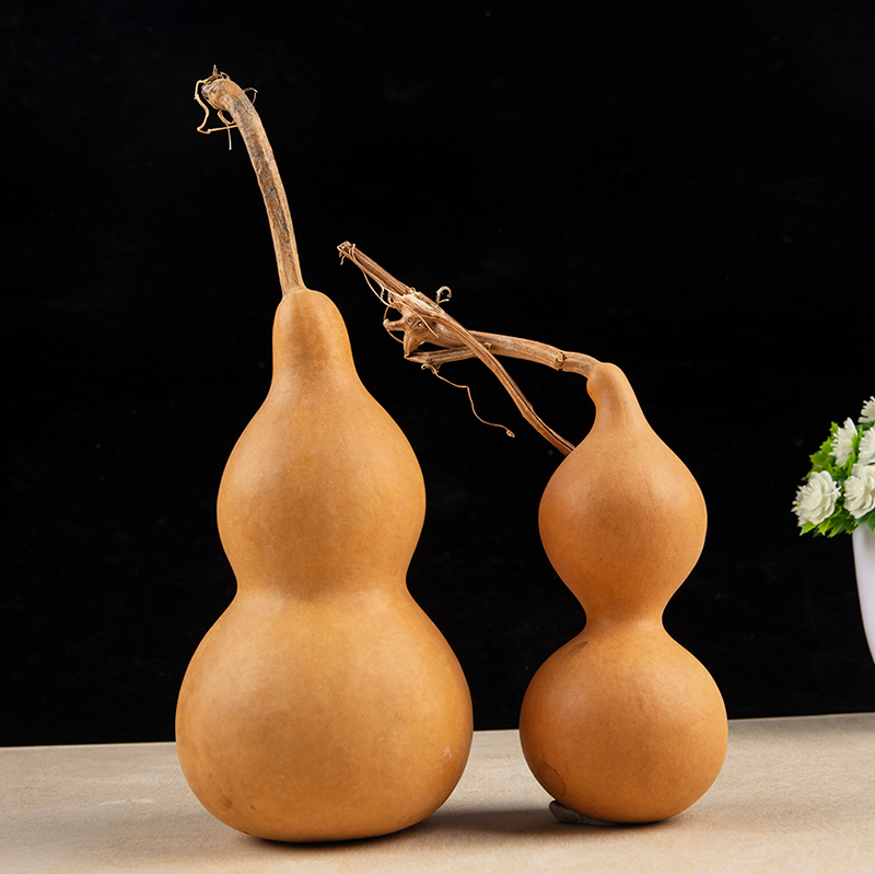 1pc Natural Gourd Handicraft O - Longevity Health & Wellness Hotel ulasan dan harga