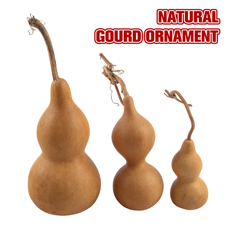 1pc Natural Gourd Handicraft O - Longevity Health & Wellness Hotel ulasan dan harga