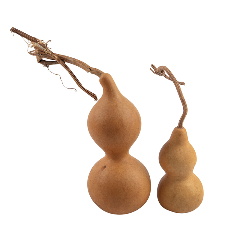 1pc Natural Gourd Handicraft O - Longevity Health & Wellness Hotel ulasan dan harga