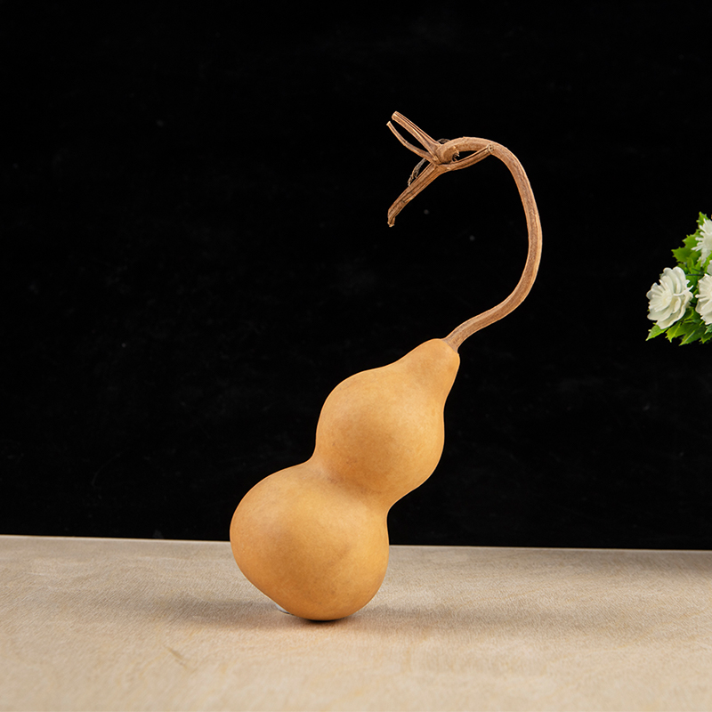 1pc Natural Gourd Handicraft O - Longevity Health & Wellness Hotel ulasan dan harga
