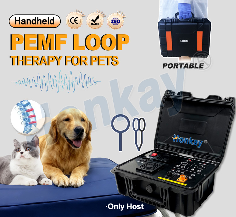 Personal Pet Care PEMF Device  - Therapy Health And Wellness ulasan dan harga
