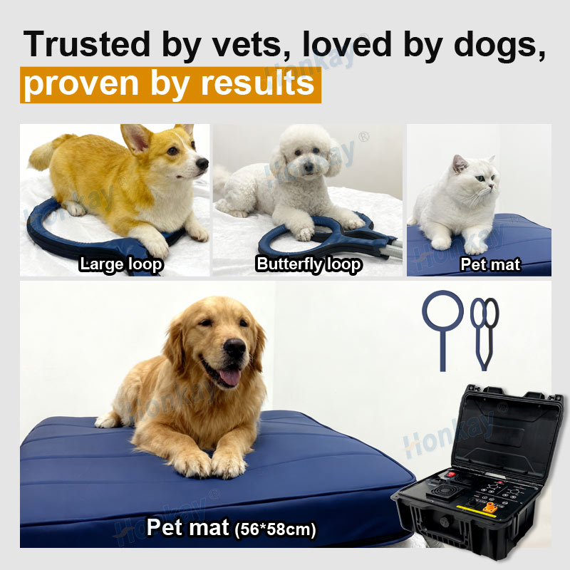 Personal Pet Care PEMF Device  - Therapy Health And Wellness ulasan dan harga