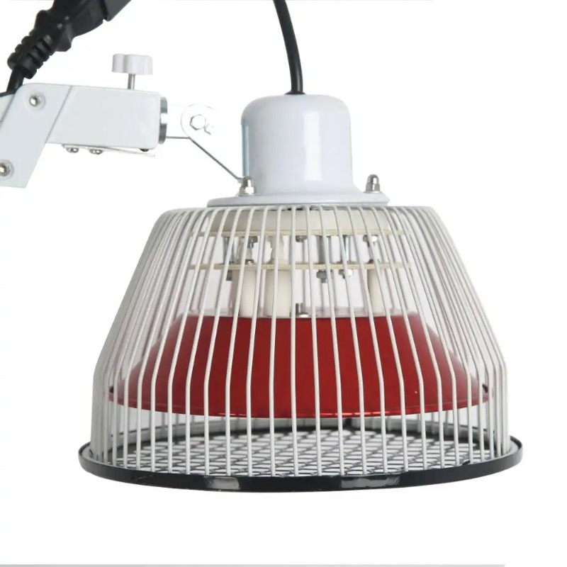 Traditional Chinese TDP Lamps  - Therapy Health And Wellness ulasan dan harga