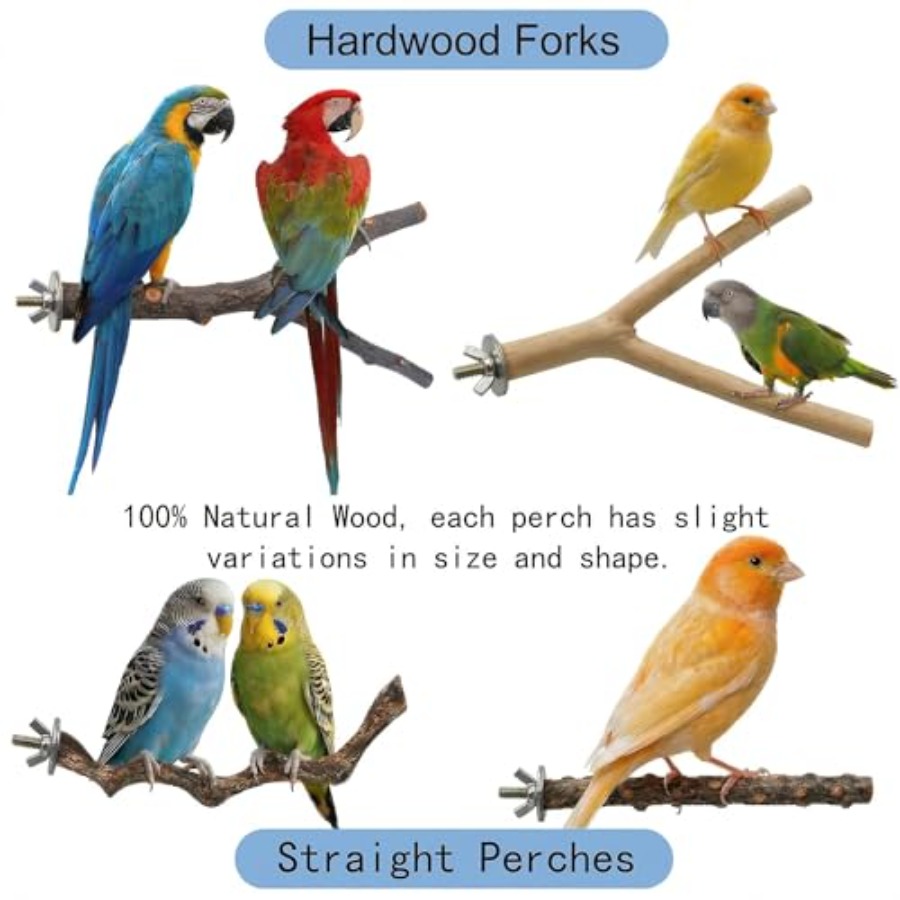8PCS natural wood bird perches - Health & Wellness Festival ulasan dan harga